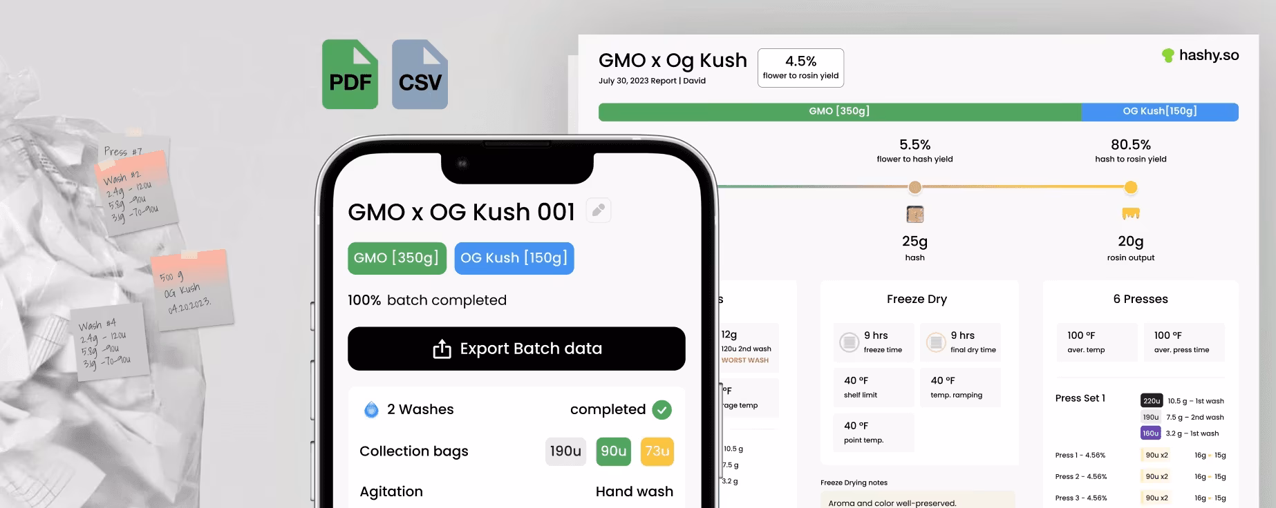 Hashy PDF export for batch reporting