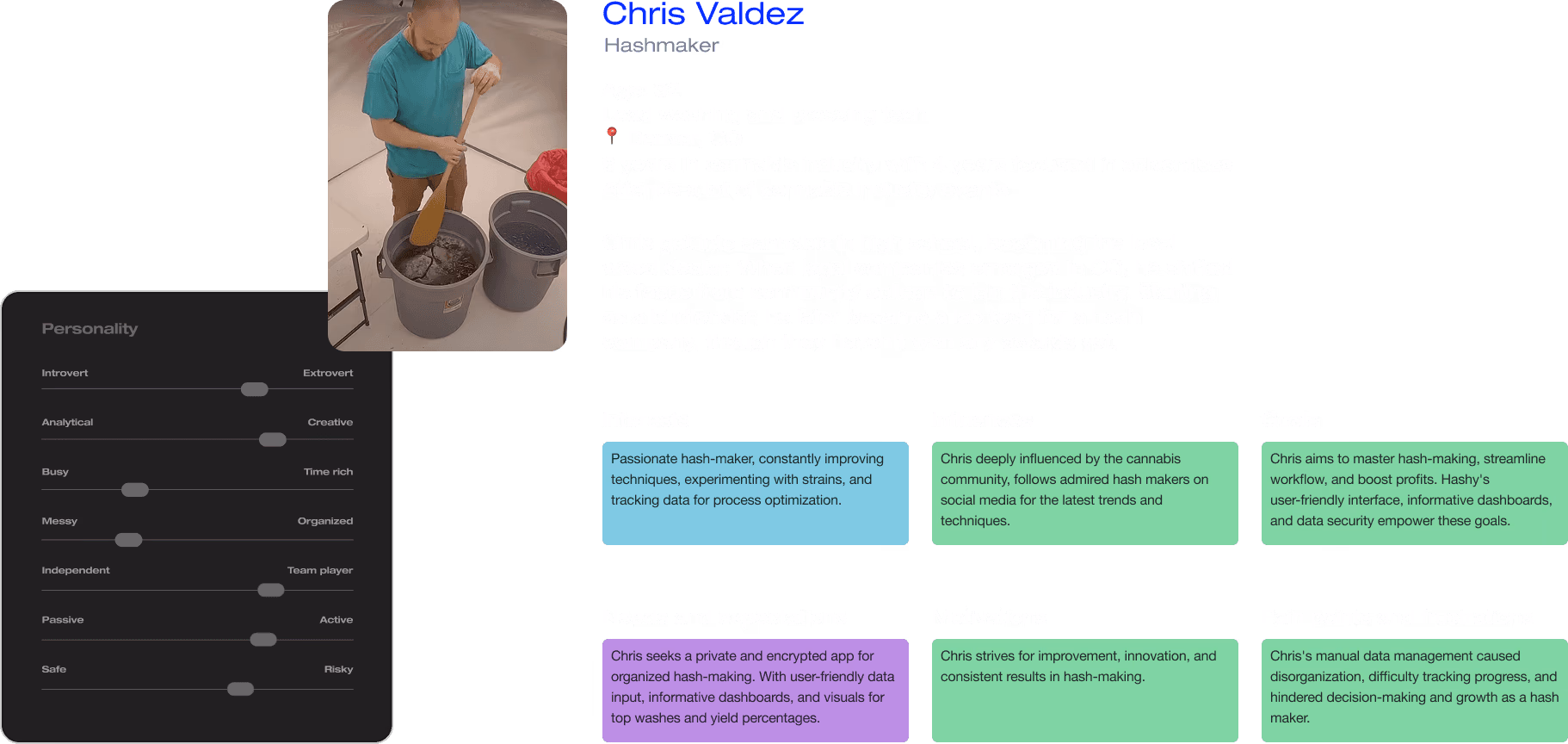 Hashy core user persona