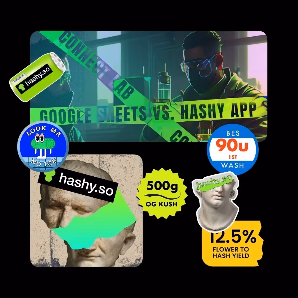 Hashy brand stickers and campaign collage